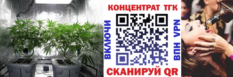 Дистиллят ТГК THC oil  Купить где  Энем 