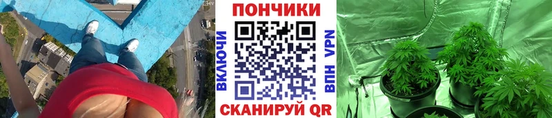 Бошки Шишки сатива  Купить закладки  Энем 